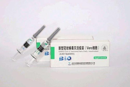 惠農區轄區各位居民 新冠疫苗接種點一覽表