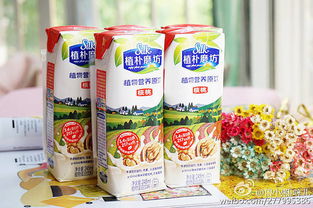 植樸磨坊,讓我們在這個元旦節一起嗨