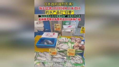 日本政府強烈不滿 海關總署 9月中國從日本進口的水產品 歸零 , 魚及其他水生無脊椎動物 沒有任何記錄,此前俄羅斯宣布暫停進口日本海產品