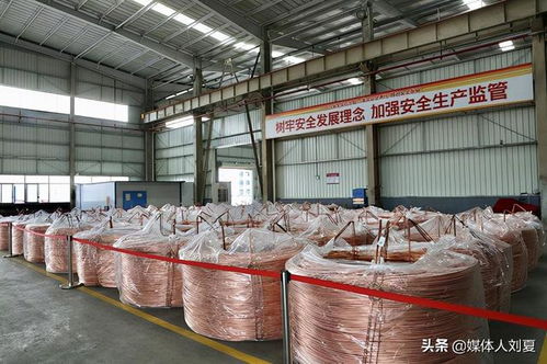 向綠而行，智造未來 湘潭金龍新材料的技術(shù)創(chuàng)新之路