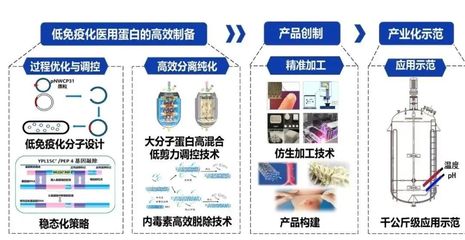 西北大學獲批3項國家重點研發計劃，聚焦生物化工產品技術研發新突破